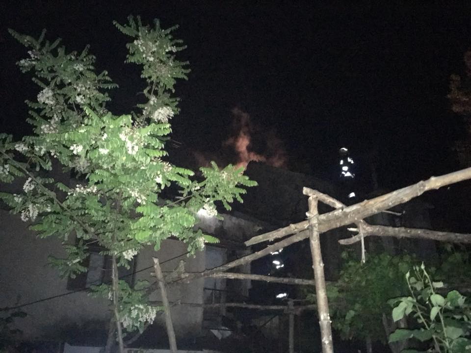 31914160 1682652741818904 1573743744593690624 n